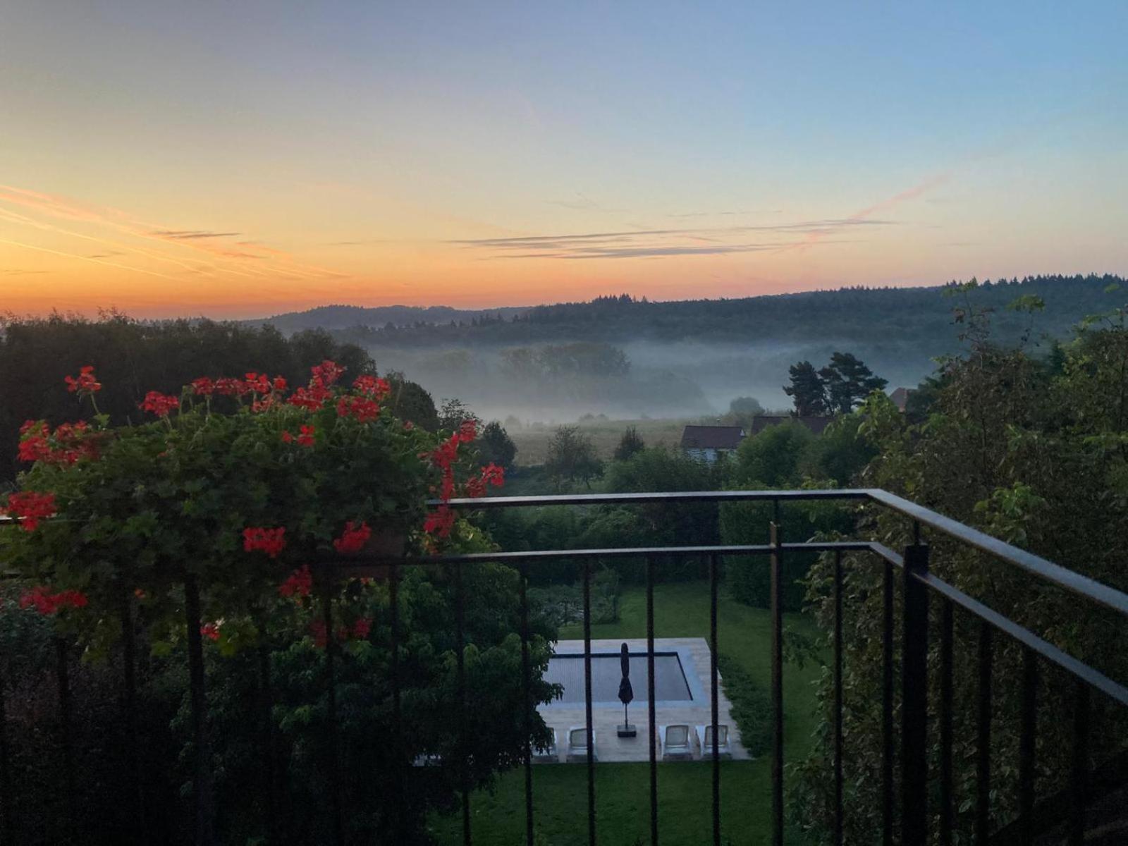האלה Hallerbos B&B In Bluebell Forest מראה חיצוני תמונה