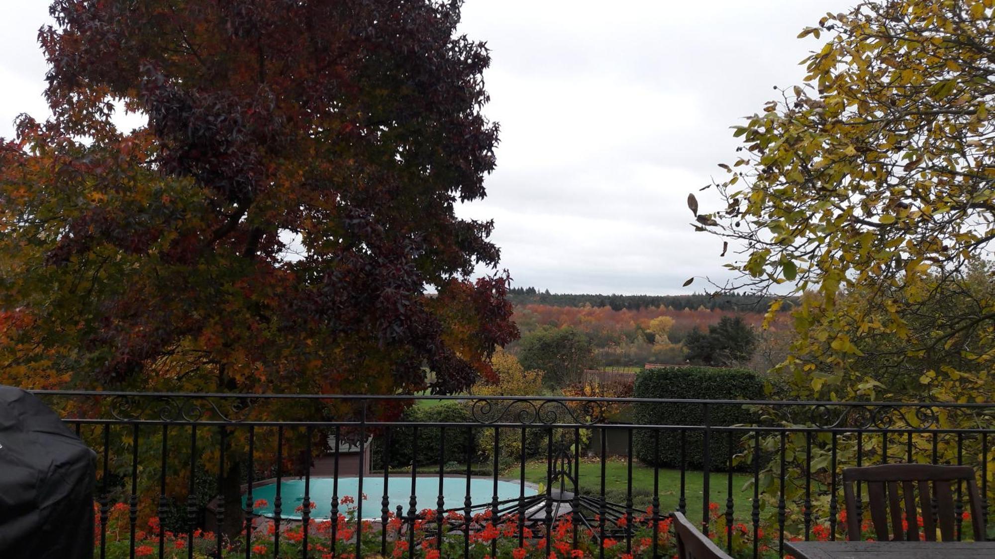 האלה Hallerbos B&B In Bluebell Forest מראה חיצוני תמונה