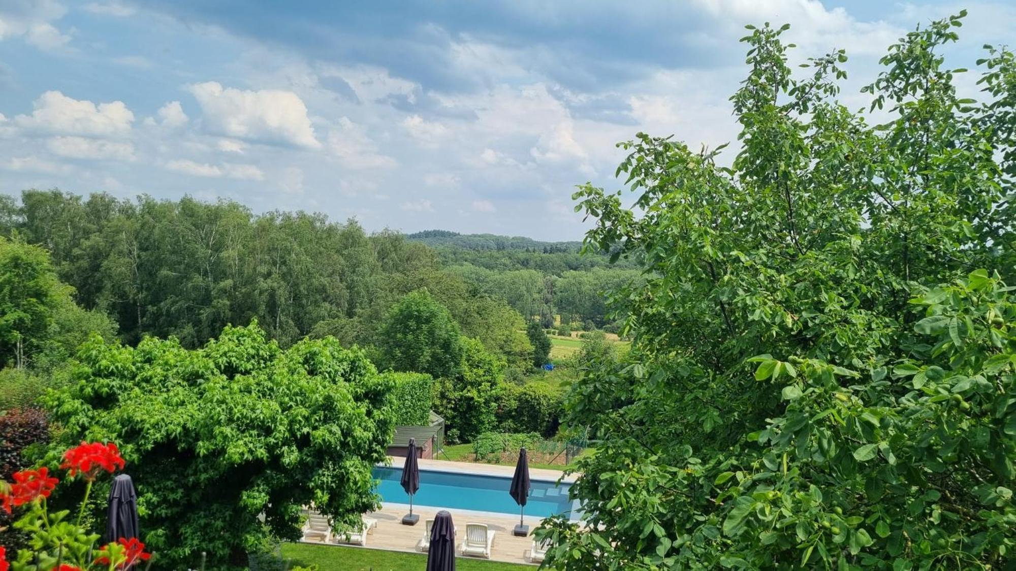 האלה Hallerbos B&B In Bluebell Forest מראה חיצוני תמונה